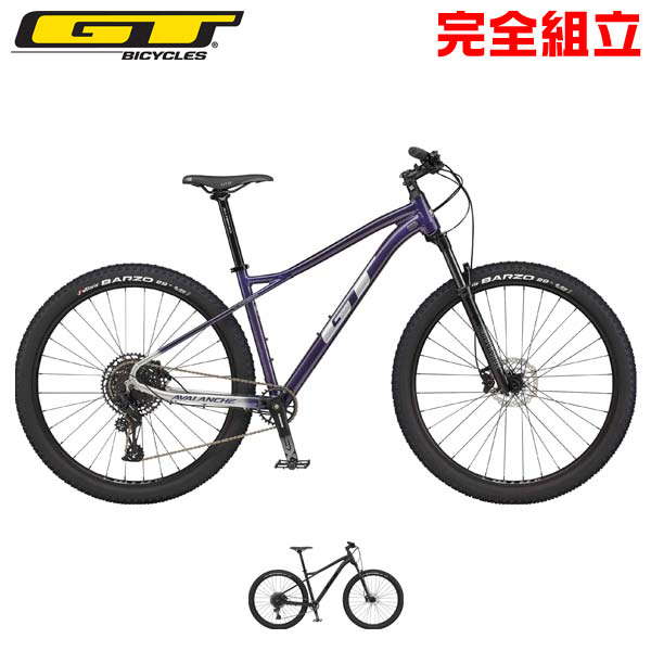 楽天市場】GT ジーティー 2024年モデル AGGRESSOR COMP