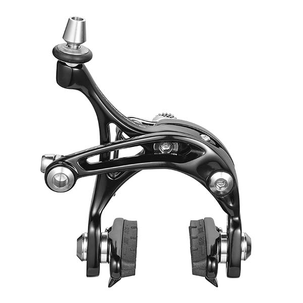 campy-ch-039.jpg