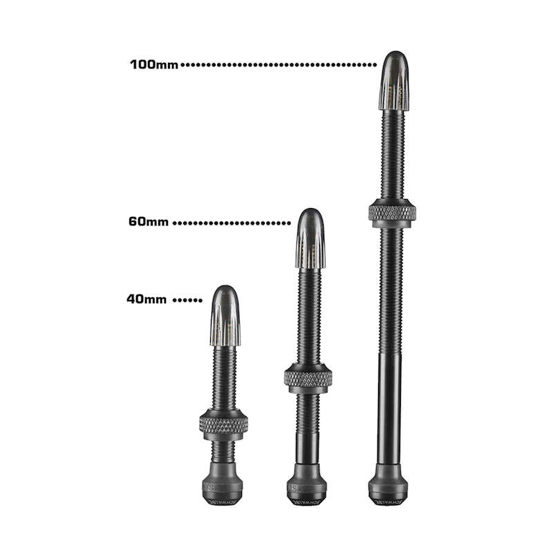 SCHWALBE シュワルベ チューブレスバルブ 弁膜長100粍 2本入