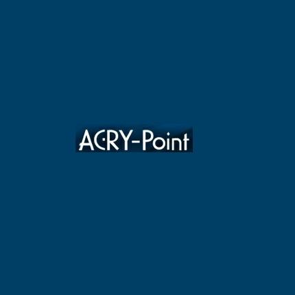 ストリートタイプスクリーン クリア アクリポイント（ACRY-Point） CBR900RR（94～97年）