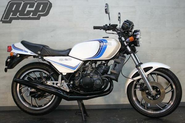 楽天市場】Z250FT ライムグリーン用 ラインステッカー