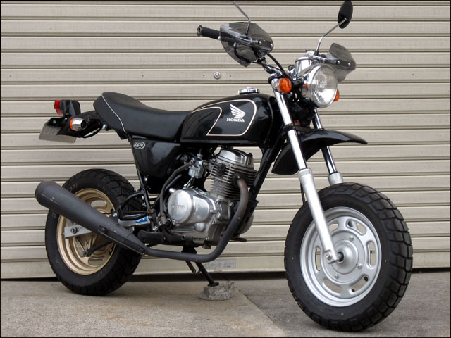 楽天市場】APE50/エイプ50 Z2タイプ専用ラインステッカー ゴールド