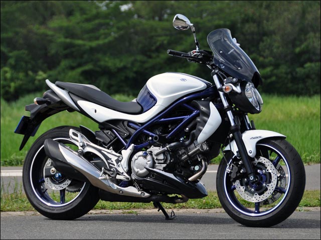 楽天市場】グラディウス400 ABS（GLADIUS）10年〜 ガイラシールド