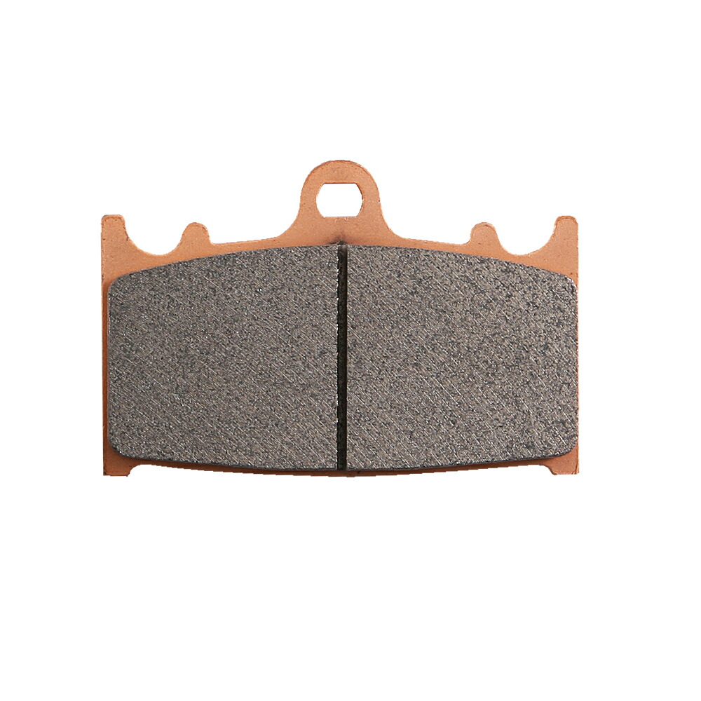 カワサキZZR1100D DAYTONA ゴールデンパッド 2セット DAYTONA（バイク用品） 送料無料 カワサキ ZZR1100 ( ZXT10D