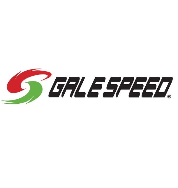 ZRX1200 DAEG（ダエグ） リアマスターブラケットASSY ブラック GALE SPEED（ゲイルスピード）