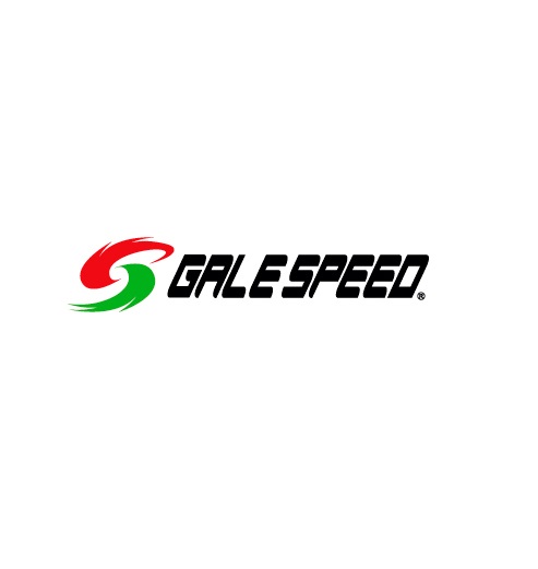 ZX-25R/SE（20～21年） フロント用 300-17 ソリッドホワイト （TYPE-GP1S） GALE SPEED（ゲイルスピード）