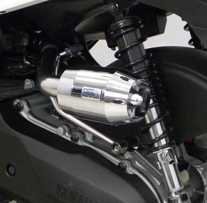ビーウィズ（BWS125）2BJ-SED9J/EBJ-SEA6J ブリーズタイプ エアクリーナーキット シルバーメッキ ウイルズウィン（WirusWin）