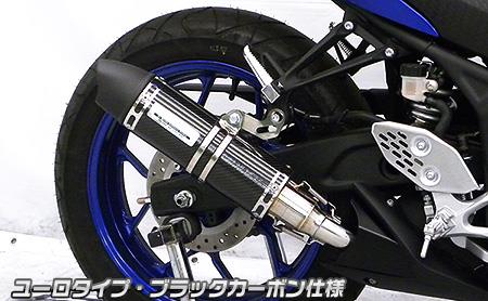 MT-25（2BK-RG43J） スリップオンマフラー ユーロタイプ ブラックカーボン（ヒートガード-ブラック仕上） ウイルズウィン（WirusWin）
