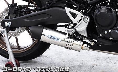 CB250R（8BK-MC52） ダイナミックマフラー ユーロタイプ ステンレス フルエキゾースト ウイルズウィン（WirusWin）