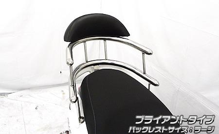 アクシスZ（8BJ-SEJ6J） バックホールドタンデムバー ブライアントタイプ バックレストラージ ウイルズウィン（WirusWin）