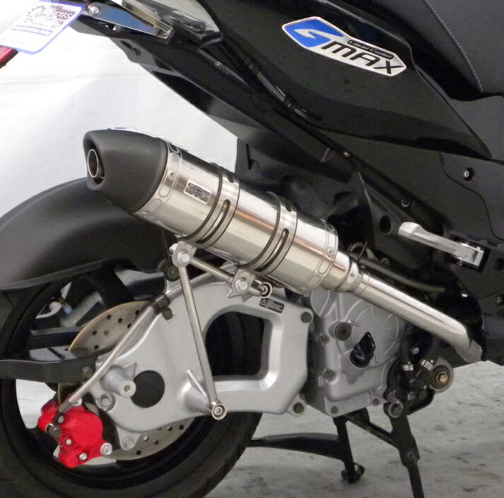PGO G-MAX125 ロイヤルマフラー ユーロタイプ ステンレス ウイルズウィン（WirusWin）