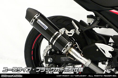 Ninja250（ニンジャ250）2BK-EX250P スリップオンマフラー ユーロタイプ ブラックカーボン仕様 ウイルズウィン（WirusWin）