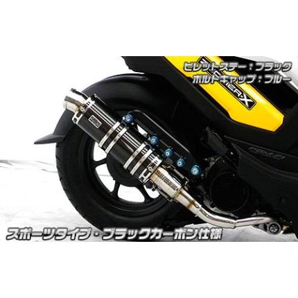 ズーマーX(ZOOMERX) アニバーサリーマフラー ブラックカーボン スポーツタイプ ウイルズウィン(WirusWin)