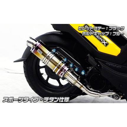 ズーマーX(ZOOMERX) アニバーサリーマフラー チタン スポーツタイプ ウイルズウィン(WirusWin)
