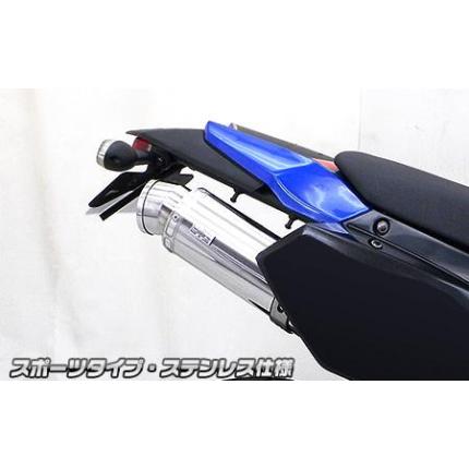 スリップオンマフラー スポーツタイプ ステンレス ウイルズウィン（WirusWin） Dトラッカー（D-TRACKER）X 型式：JBK-LX250V