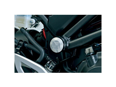 モリワキ 09085-201Q6-00 フレームホールプラグ CB250R