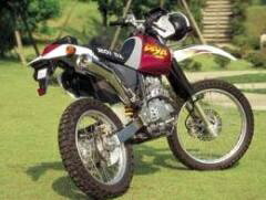Pro SKILL ﾌﾟﾛｽｷﾙ PS205033 ﾚｰｼﾝｸﾞｻｲﾚﾝｻｰ ｽﾃﾝﾚｽ XR250/XR250 BAJA XR250ﾊﾞﾊ ﾗﾌ&ﾛｰﾄﾞ
