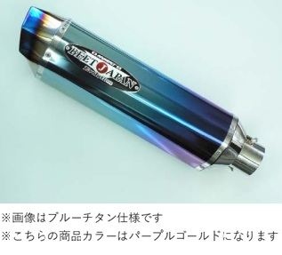 BEET 1004-350-P2 R-Evo2 T2 ハンヨウPGサイレンサー350 59,400円