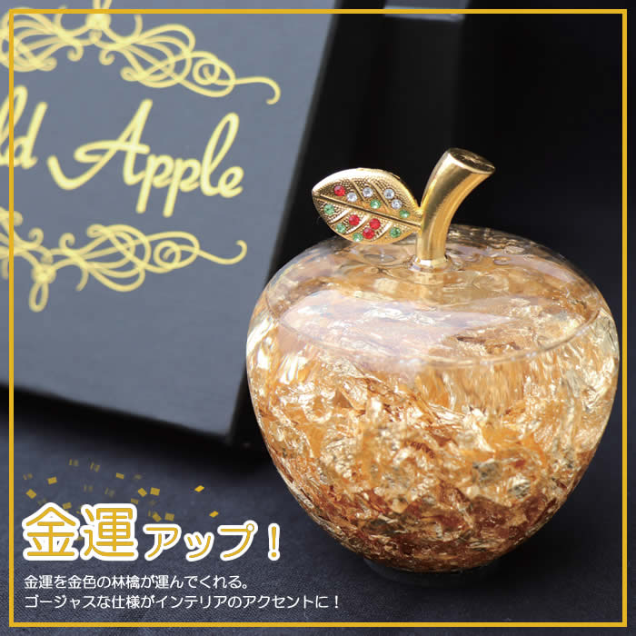 楽天市場 パセオ ゴールドアップル 黒箱入り Gd 02bk Paseo 金運 リンゴ アップル 林檎 ゴールド Gold Apple インテリア 雑貨 ギフト プレゼント 美 健 屋