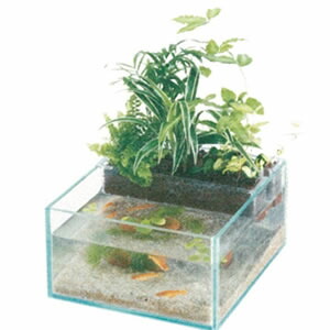 楽天市場】せせらぎビオトープ 25cm 水槽用 照明 バックライト［単品