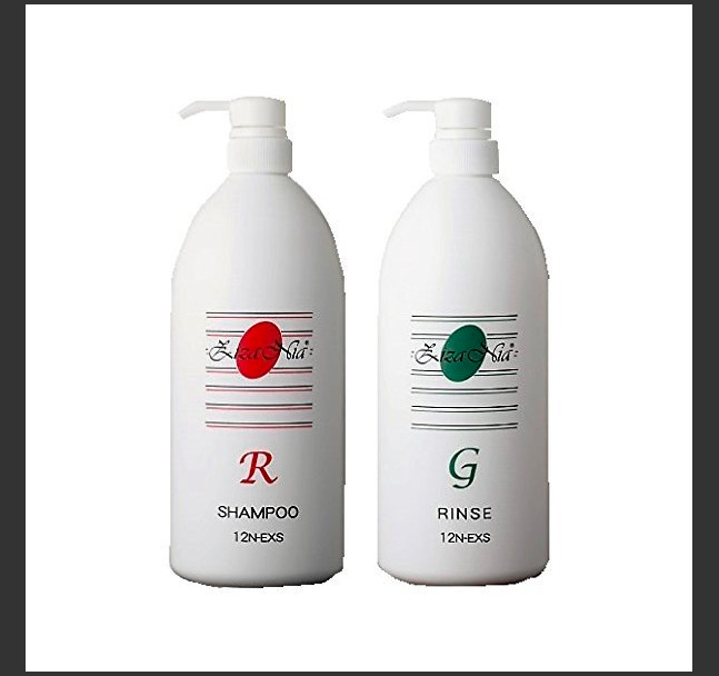 正規店仕入れの ジザニア シャンプーr リンスg 1000ml かたい髪用セット 美健ストア 値引 Nueva Fecolsog Org