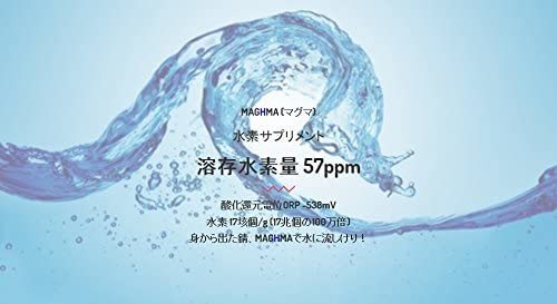 リコエンザイム Maghma マグマ 33g Alstoncompany Com