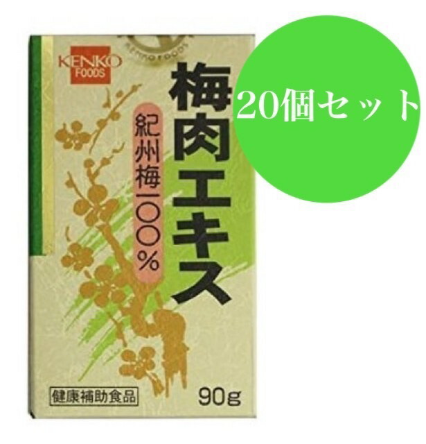 【健康フーズ】梅肉エキス 紀州梅100% 90g×5個セット！ 健康フーズ 梅肉エキス 紀州梅100％ ( 90g )/ : 爽快ドラッグ