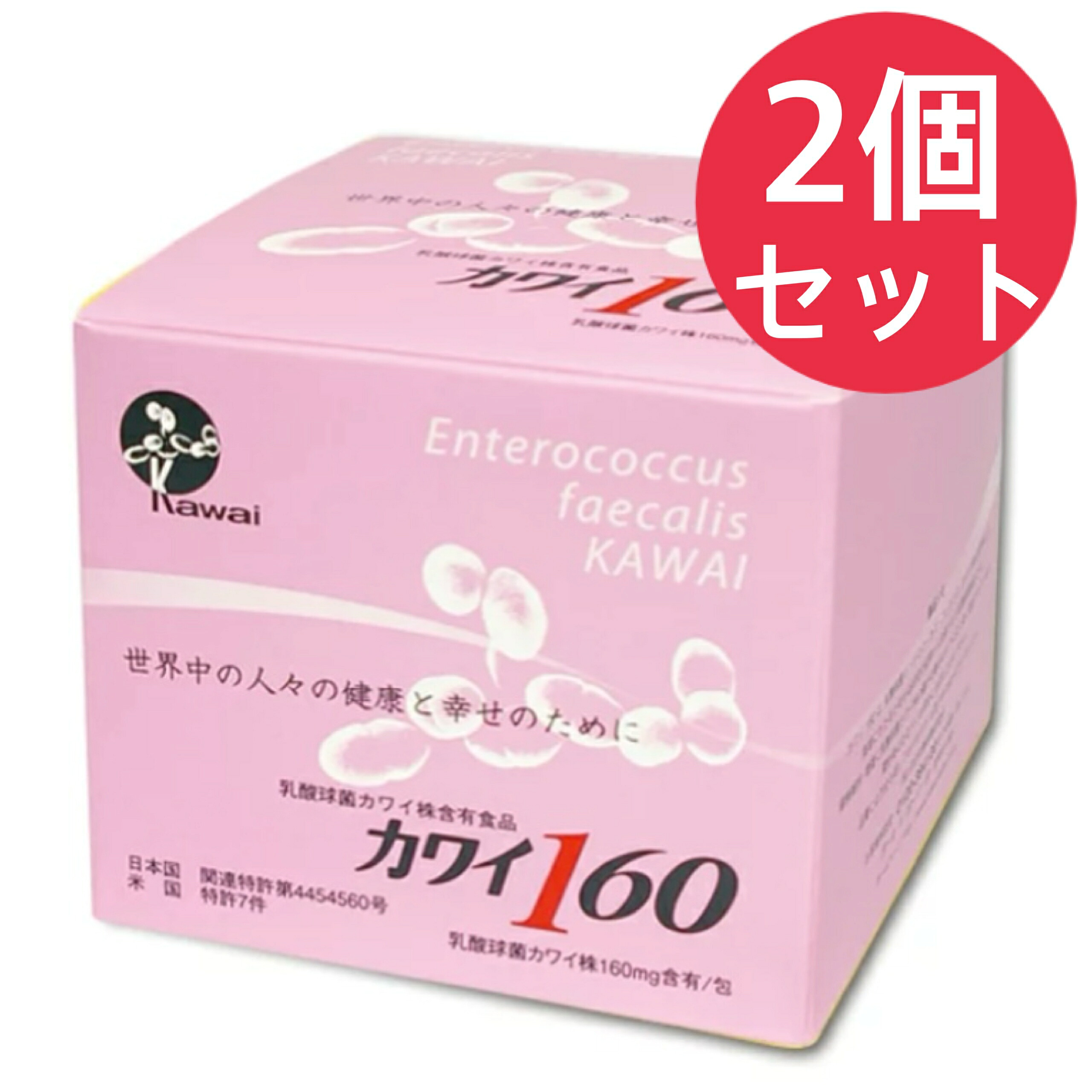 カワイ160 乳酸球菌カワイ株160mg含有食品 100包入【2個セット】|美健ストア