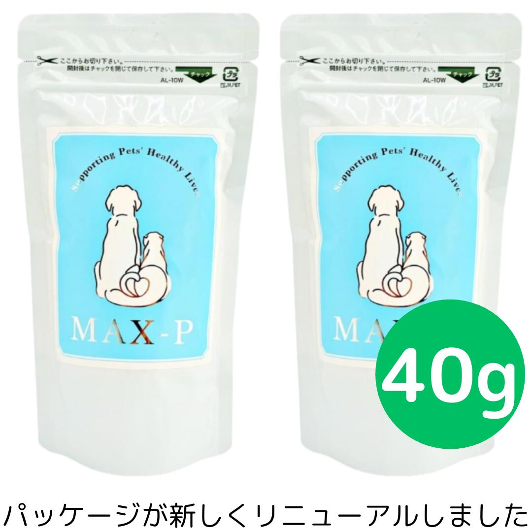 楽天市場】サンタプロン ペット用 130cc : 美健ストア