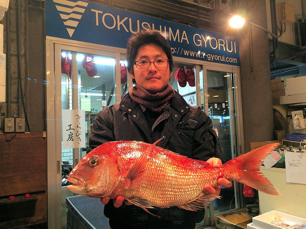 天然！「鳴門鯛（鮮魚）」丸々１匹（約1.2Kg）