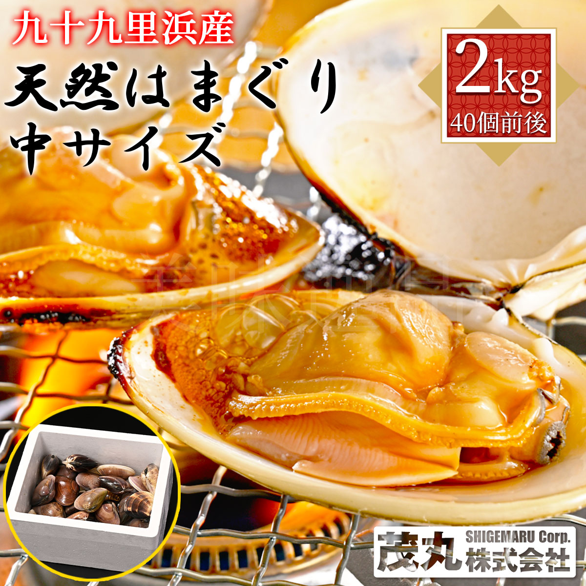 楽天市場】九十九里浜産 天然はまぐり 大サイズ 2kg（20個前後