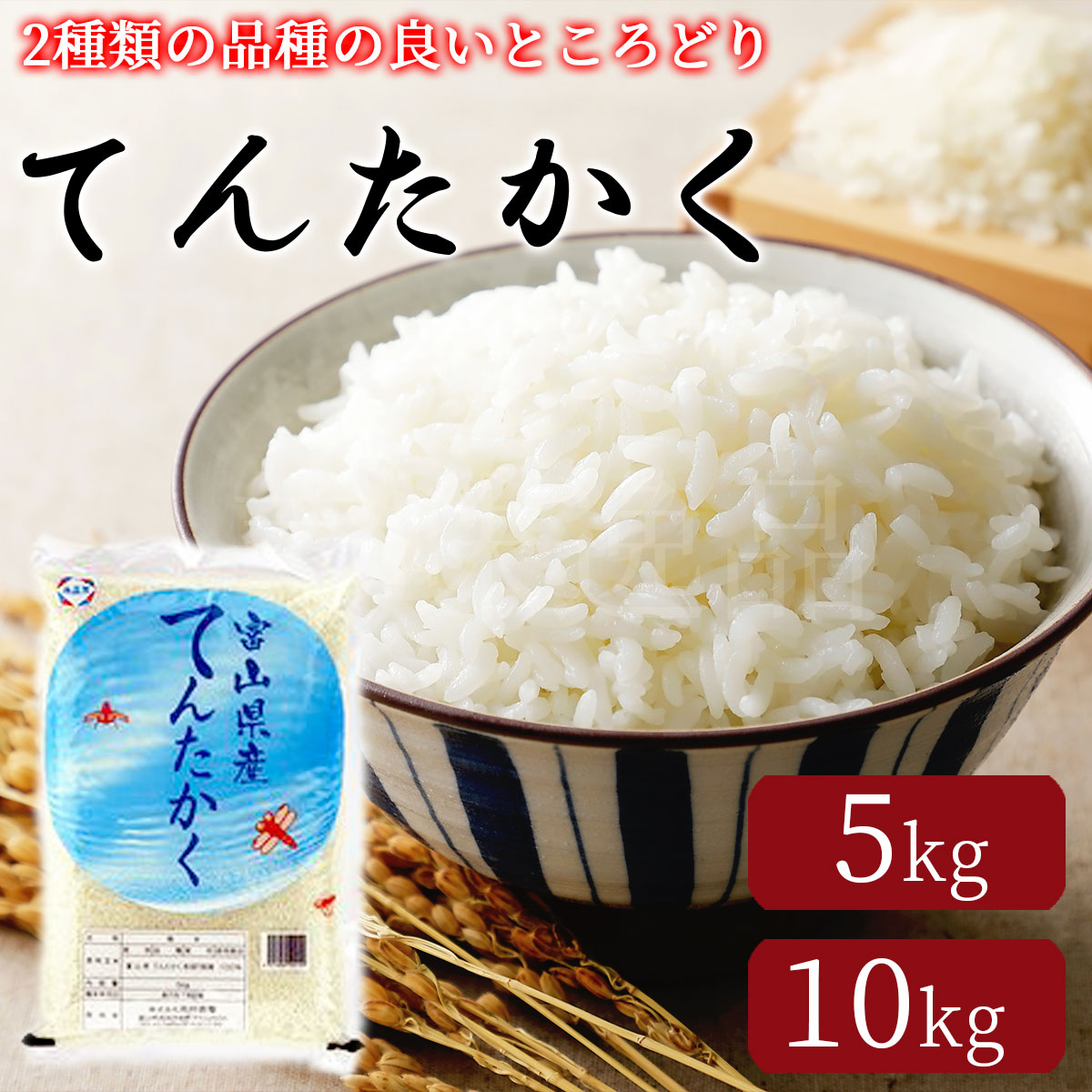 楽天市場】令和7年産 グランプリ・コシヒカリ 5kg 10kg 富山県産