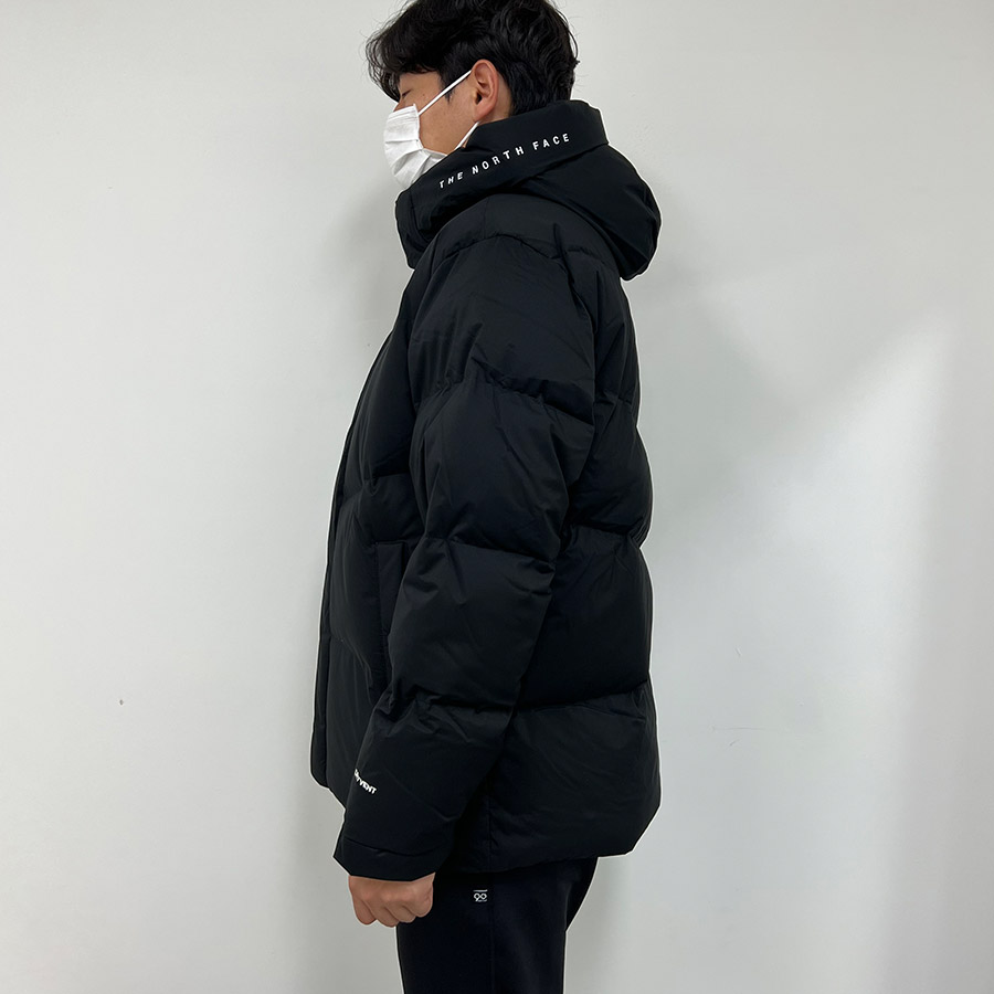 THE NORTH FACE] FREE MOVE DOWN JACKET ダウンジャケットパーカー