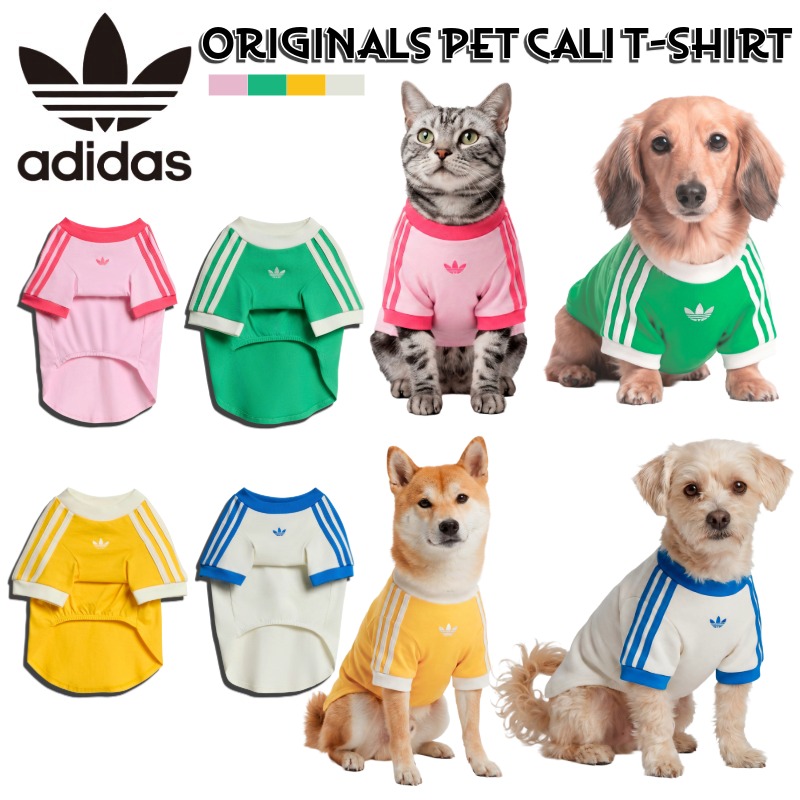 百貨店探し回る 最大限度40% OFF