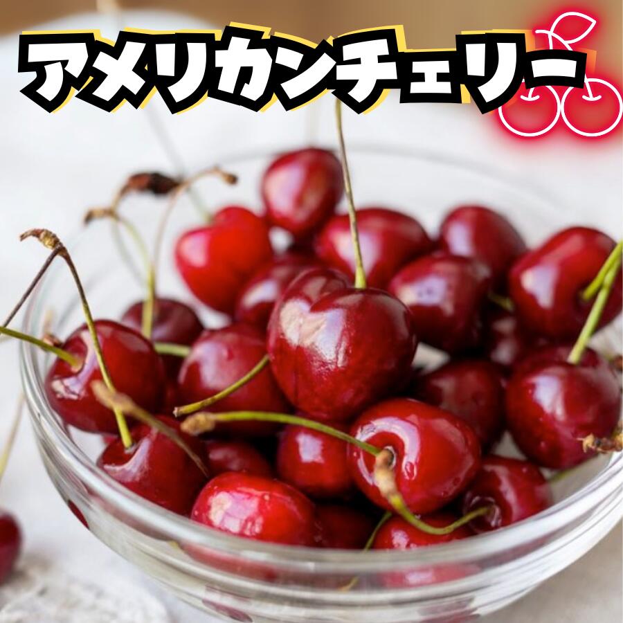 アメリカチェリー4kgクール便 楽天市場】アメリカンチェリー 約4kg アメリカ産※品種はご指定