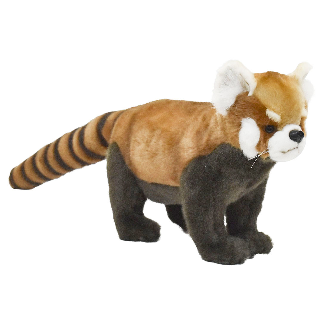 レッサーパンダ様 h6309.jpg