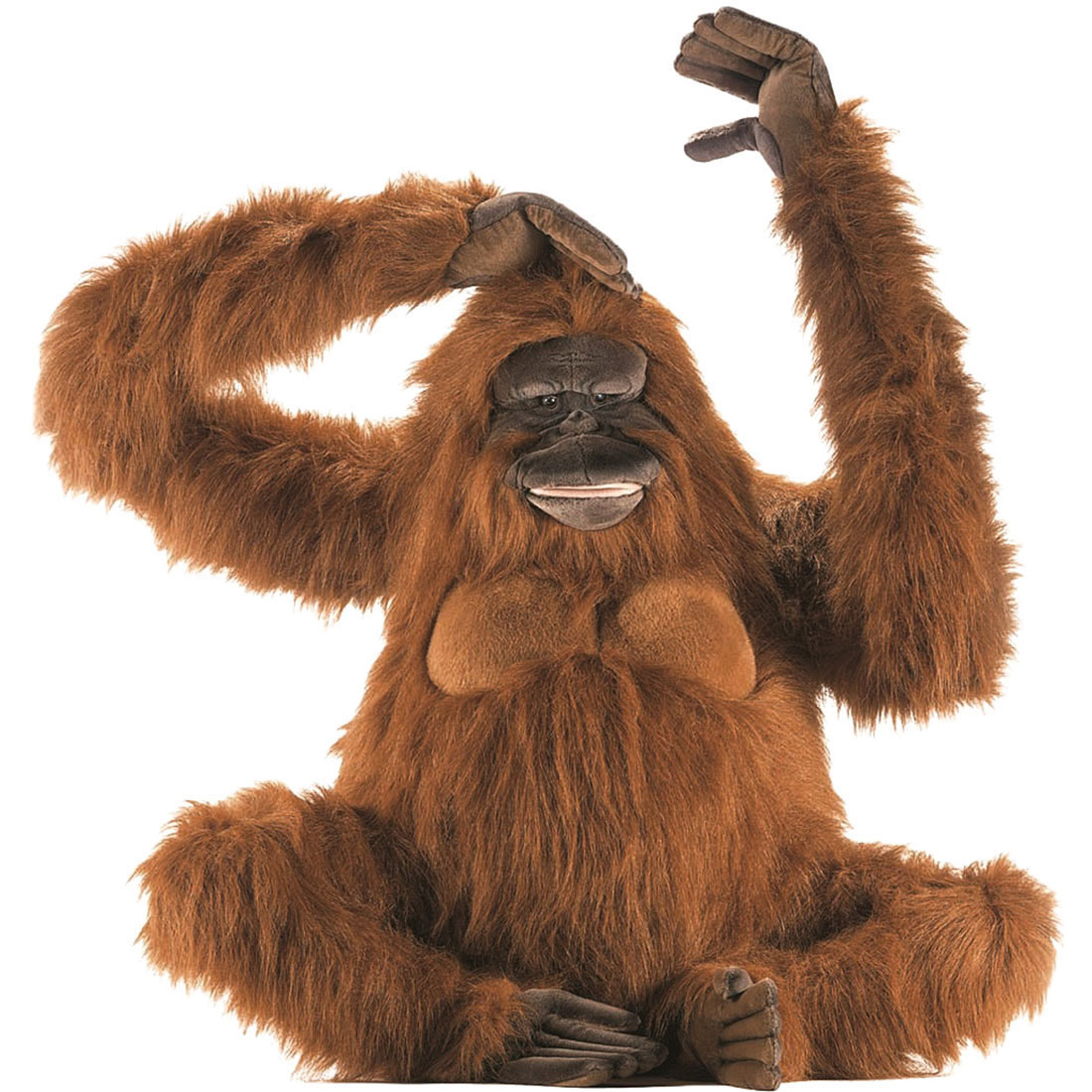 HANSA BH3396 猩猩  80 ORANGUTAN 即物的 ぬいぐるみ ハンサ クリスマス 生まれ落ちる日 差し上げ物 毛の荒物 犬 猫 鳥 うさぎ ペンギン 毛の荒物 飾りつけ あやつり人形 図形 KOESEN ケーセン 気が大きい マスコット 実物大 大型 ビッグ おすすめ 愛くるしげ 今めかしい エテ公 大猩々