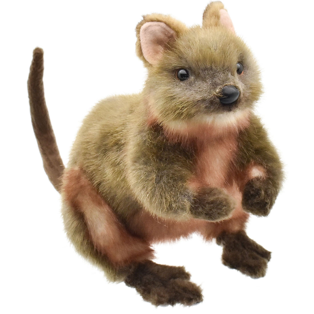 楽天市場】HANSA 7362 クアッカワラビー 22 QUOKKA ぬいぐるみ