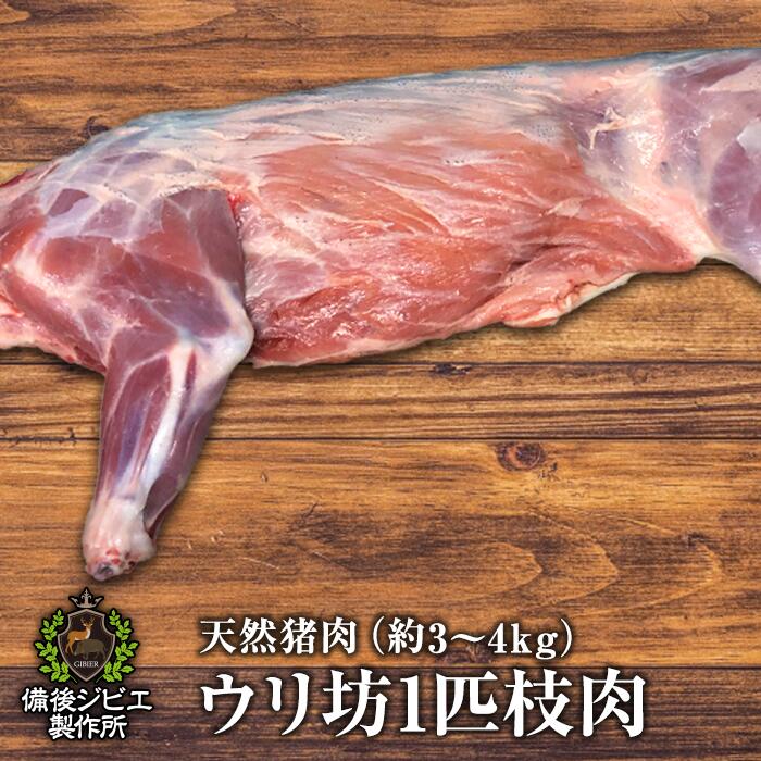 楽天市場 送料無料 天然猪 ウリ坊 枝肉 約３ 4kg前後 半枝2本分 広島県産 備後地方 いのしし肉 イノシシ肉 ぼたん鍋 牡丹鍋 ボタン鍋 最高級 ジビエ料理 お取り寄せ 人気 鍋セット お鍋 すき焼き ステーキ しゃぶしゃぶ 焼肉 備後ジビエ製作所