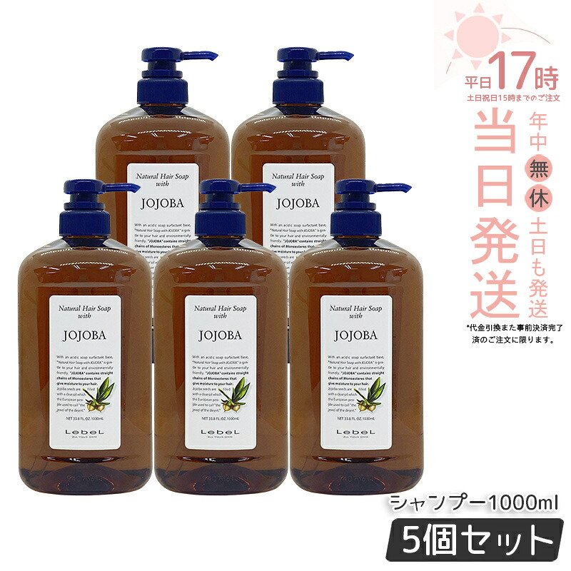 【2個仕掛ける】Lebel ルベル ナチュラルヘアソープ ウィズ ホホバ 1000ml ルベル シャンプー ウィズ JO 髪の毛シャンプー 髪 頭皮 髪の毛世話をする かわき切る 髪 不都合世話をする 美容 ノンケイ素樹脂 ふんわり 草木謂われ因縁 生まれながら構成要素 国内置き目品 貨物輸送無料