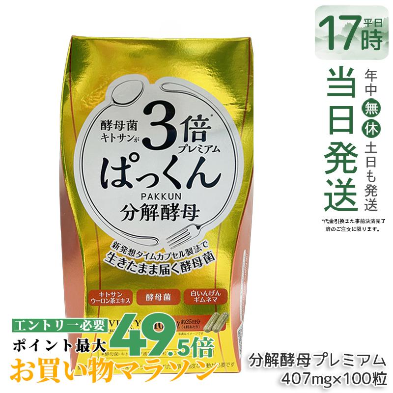 SVELTY 3倍ぱっくん分解酵母プレミアム 40.70g 407mg×100粒 スベルティ 分解酵母 酵素 酵母 酵母菌 糖質 炭水化物 健康食品 ぱっくん酵母 パックン パック サプリメント サプリメント 国内正規品 送料無料