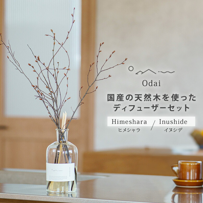 【クーポン発行中】Odai オオダイ ディフューザーセット アロマディフューザー ヒメシャラ イヌシデ 天然木 天然成分100％ フレグランス 雑貨 芳香剤 森林の香り 微香性 森林浴 ホームフレグランス 天然由来｜BINOTOKI＋