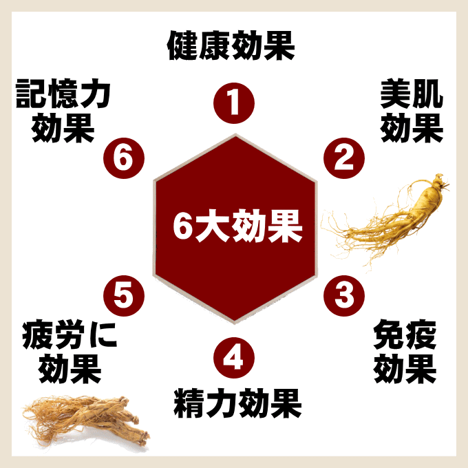 即納 ３個セット 一和高麗人参濃縮茶6個セット - www.youngfarmers.org