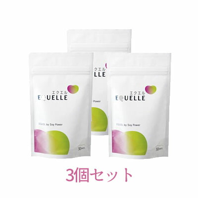 お得な３個セット！【ネコポス/送料無料】 エクエル〈エクオール含有食品〉パウチタイプ 120粒 大塚製薬　EQUELLE