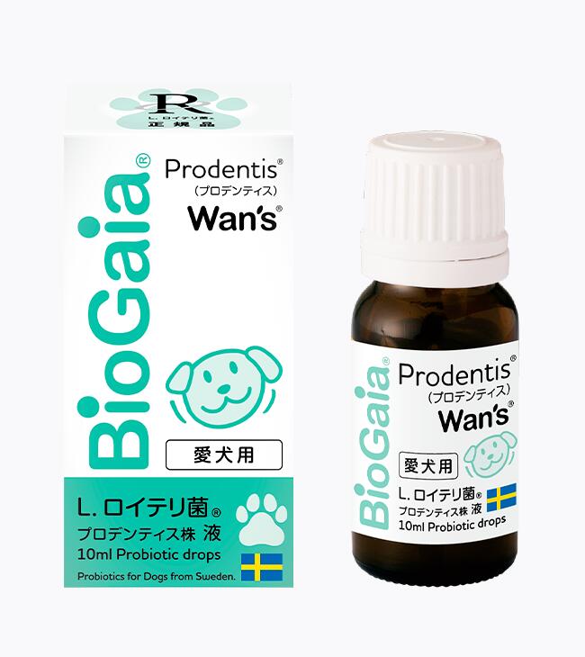バイオガイア　Nyan's 猫用サプリメント 10ml Amazon | バイオガイア ニャンズ Nyan's 10ml（猫用・犬にも使用