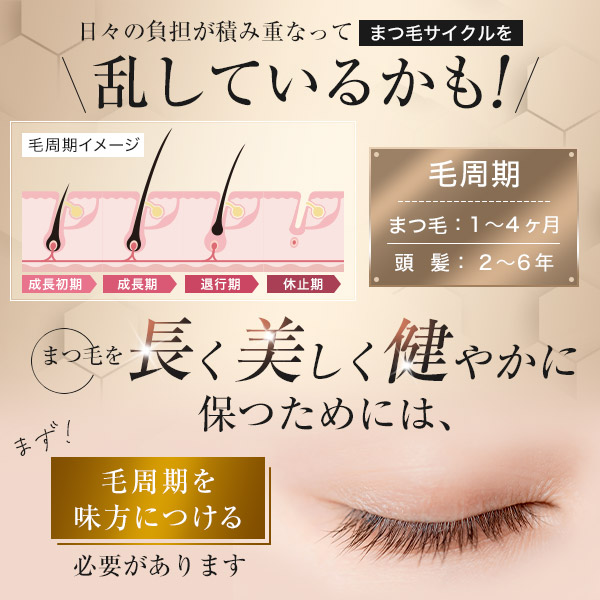Bio Lucia ビオルチア アイラッシュセラム 3箱 Amazon.co.jp: ビオルチア (Bio Lucia) アイラッシュセラム
