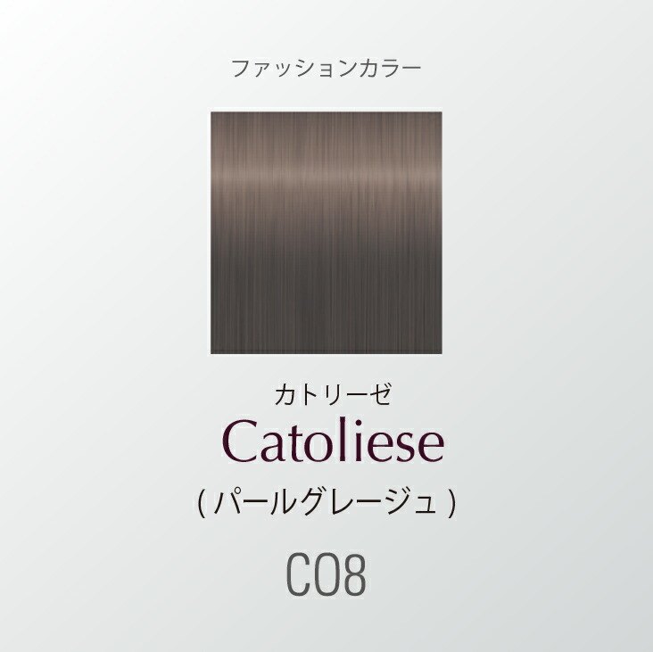 カラータイムセス 107D Plus ホームプログレス （全4色）｜カラー