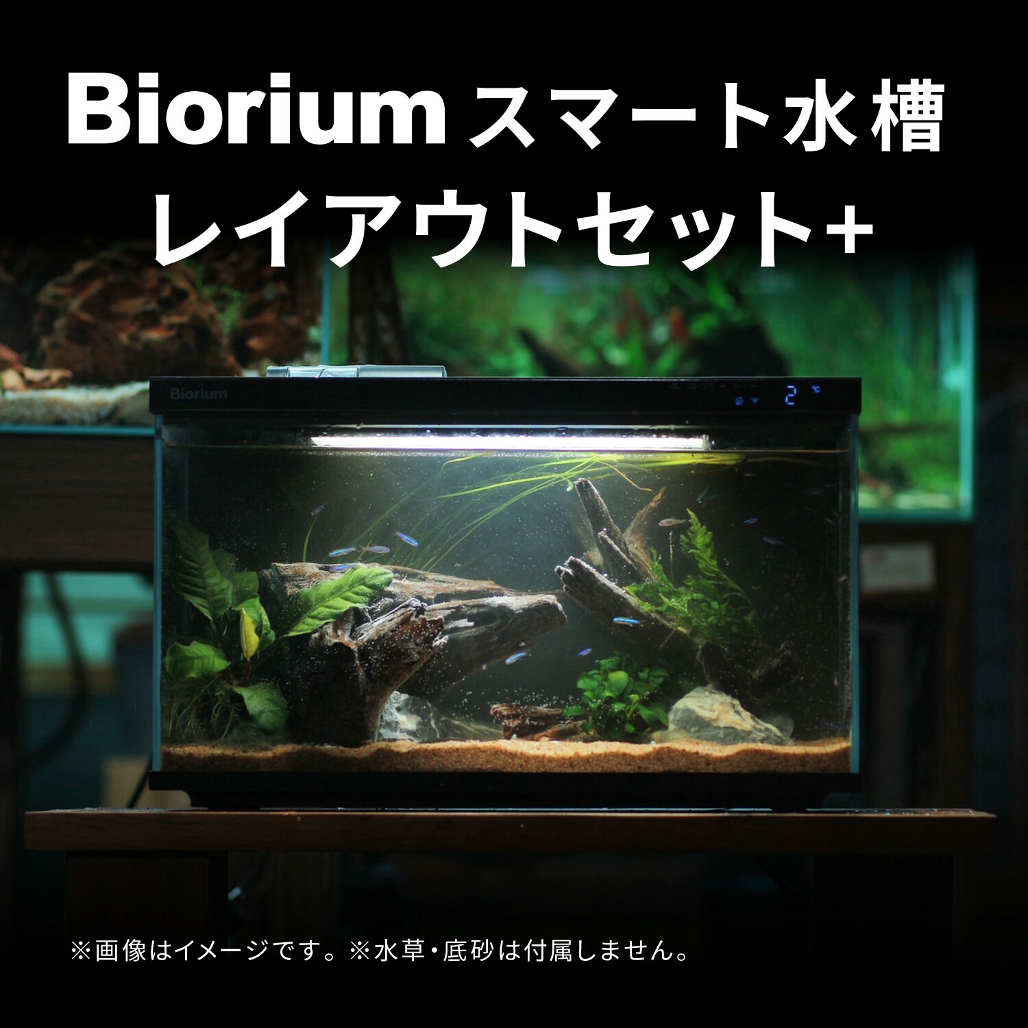 Biorium オールインワン水槽　静音フローガイド付き Biorium オールインワン水槽 静音フローガイド付き