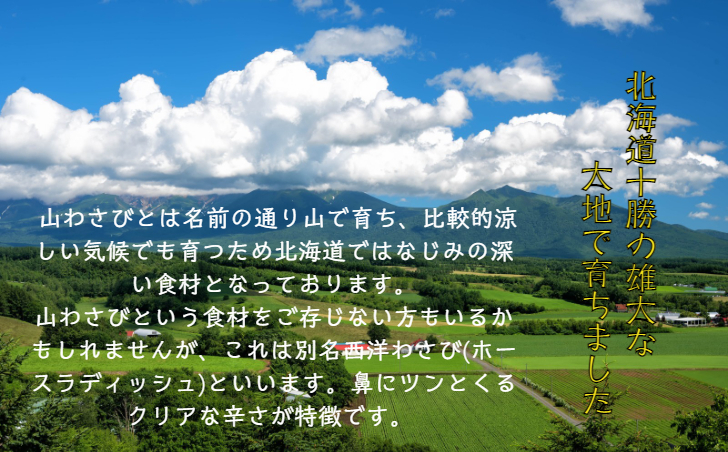 全国 北海道 産地直送 ホースラディッシュ 蝦夷山わさび 十勝 500g 西洋わさび 山わさび