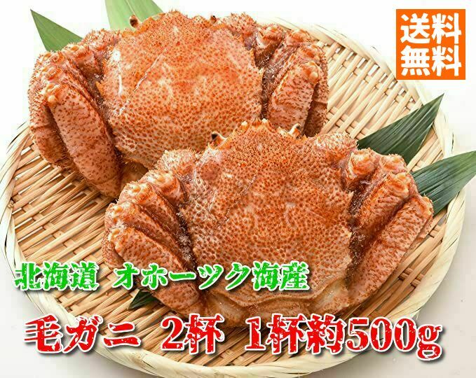 送料無料 今だけポイント3倍 北海道 オホーツク海産 毛ガニ 2杯セット 1杯約500g 計1 以上 冷凍 産地直送 毛蟹 カニ 北海道産 カニみそ しゃぶしゃぶ 寿司 食品 グルメ ギフト お歳暮 お中元 海鮮 Kani 送料無料 沖縄 離島のみ別途送料 オホーツク海 Bullpadel Cl 送料無料 今だけポイント3倍 北海道 オホーツク海産 毛ガニ 2杯セット 1杯約500g 計1 以上 冷凍 産地直送 毛蟹 カニ 北海道産 カニみそ しゃぶしゃぶ 寿司 食品 グルメ ギフト お歳暮 お中元 海鮮 Kani 送料無料 沖縄 離島のみ別途送料 オホーツク海 Bullpadel Cl